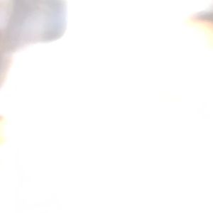 Meet your Posher, Travis